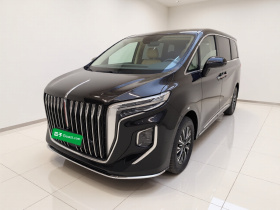 红旗HQ9 2024款 2.0T 公务版