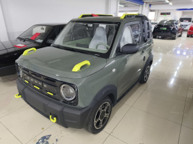 吉利银河 2025款 210km 熊猫骑士