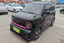 吉利汽车 2024款 200km 熊猫卡丁