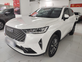 哈弗H6 2022款 第三代 1.5T 自动两驱Max