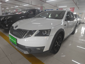 斯柯达 明锐 2018款 旅行车 TSI230 DSG豪华版