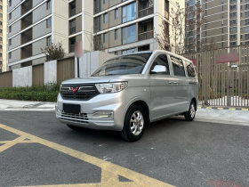 五菱汽车 五菱宏光V 2019款 1.5L劲享版国VI LAR