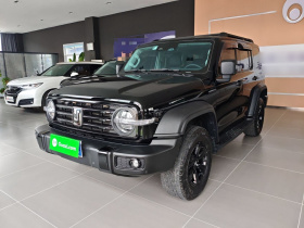 坦克300 2021款 越野版 2.0T 征服者