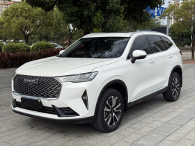 哈弗H6 2021款 第三代 1.5T 自动两驱Max