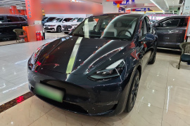特斯拉 Model Y 2024款 长续航全轮驱动版