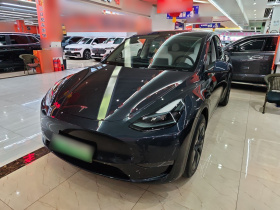 特斯拉 Model Y 2024款 长续航全轮驱动版