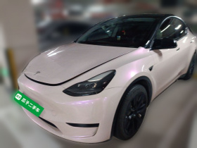 特斯拉 Model Y 2022款 后轮驱动版