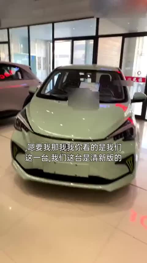 长安欧尚 奔奔E-Star 2022款 国民版 多彩限量款（快充版）三元锂讲解2