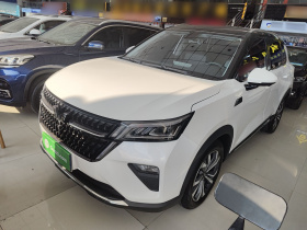 五菱汽车 五菱星辰 2022款 2.0L DHT电速款