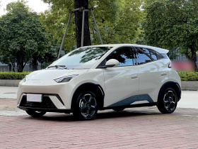 比亚迪 海鸥 2024款 荣耀版 305km 自由版