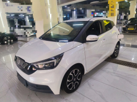 江铃集团新能源 易至EV3 2021款 小雷达智跑型