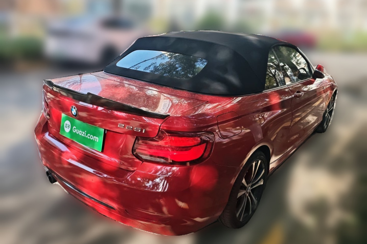 宝马2系(进口) 2019款 225i 敞篷轿跑车 运动设计套装车身外观7