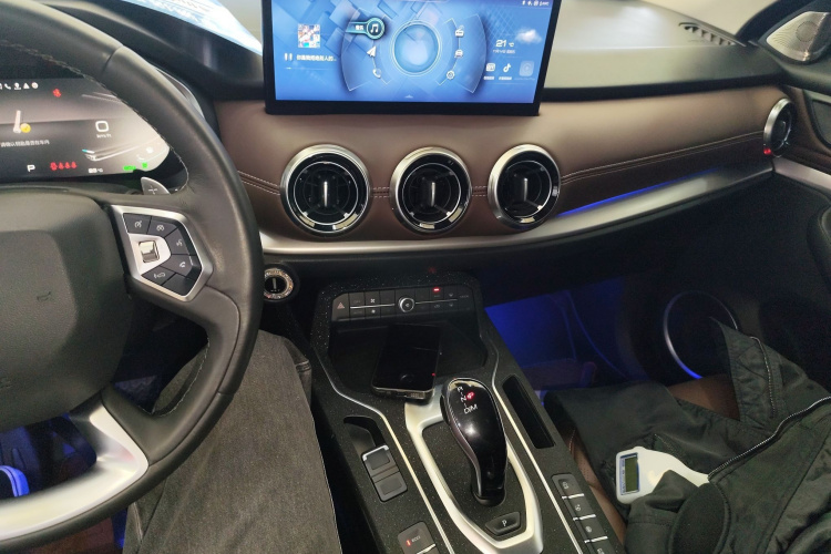 魏牌 VV6 2021款 2.0T 两驱智护+中控内饰7002