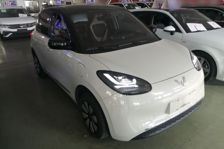 五菱汽车 五菱缤果 2024款 333km 悦享款车身外观6002