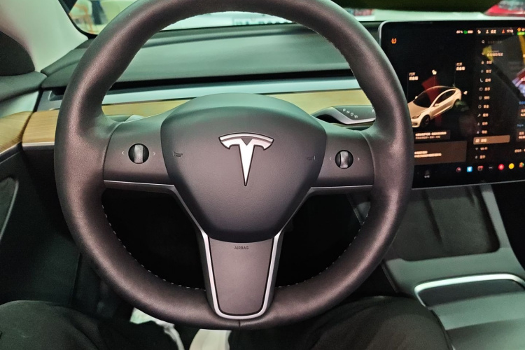 特斯拉 Model 3 2021款 标准续航后驱升级版中控内饰13