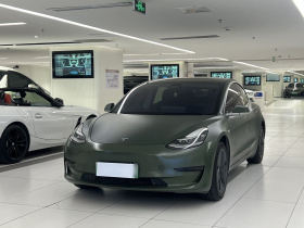 特斯拉 Model 3 2019款 标准续航后驱升级版