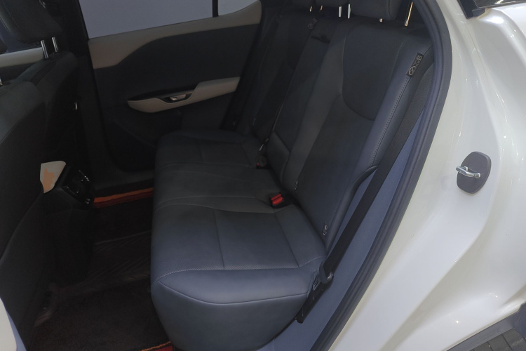 雷克萨斯RZ 2023款 450e 四驱纵享版中控内饰21