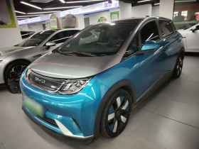 比亚迪 海豚 2021款 401km 骑士版