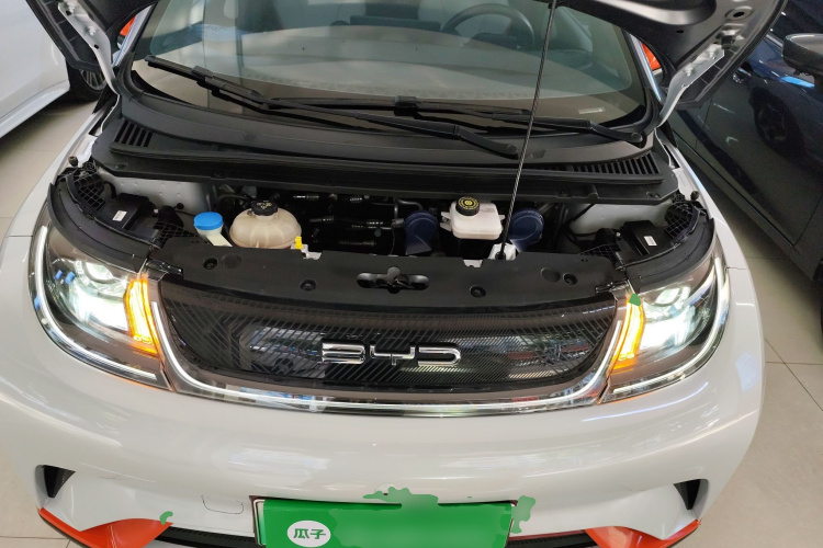 比亚迪 海豚 2021款 405km 自由版局部细节24