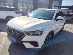 奔腾T77 2020款 PRO 280 TID 自动豪华型