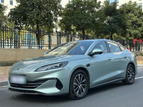 比亚迪 海豹06新能源 2025款 DM-i 智驾版 80KM尊贵型
