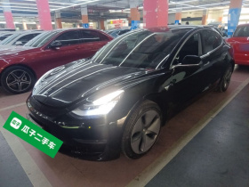 特斯拉 Model 3(进口) 2019款 长续航全轮驱动版