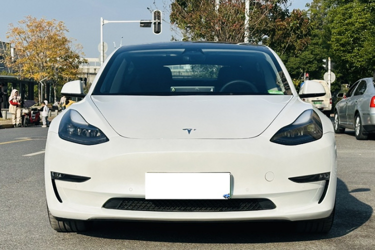 特斯拉 Model 3 2021款 Performance高性能全轮驱动版车身外观6007