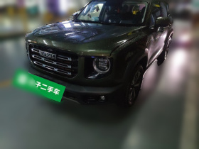 哈弗大狗 2021款 1.5T DCT两驱拉布拉多版