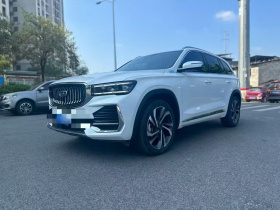 吉利汽车 星越L 2024款 2.0TD 高功自动两驱天际版