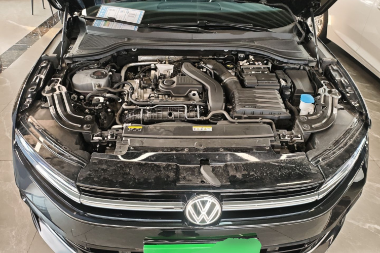 大众 迈腾 2024款  300TSI DSG尊享版显眼包机舱底盘24