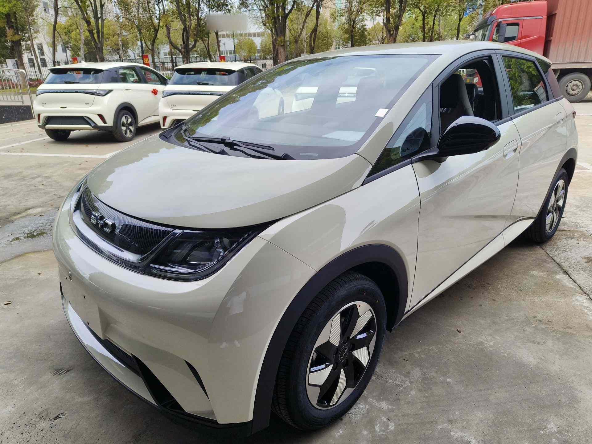 比亚迪 海豚 2025款 420km 自由版(2)