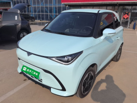 凯翼拾月 2023款 201km 踏浪版