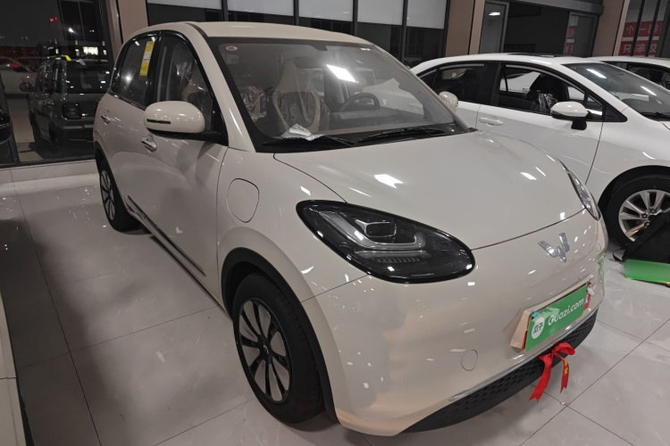 五菱汽车 五菱缤果 2024款 333km 悦享款车身外观6002