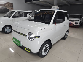 吉利银河 熊猫 2025款 210km 元气熊