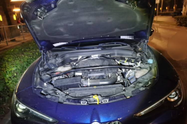 阿尔法·罗密欧 Stelvio斯坦维 2017款 2.0T 200HP 精英版局部细节24