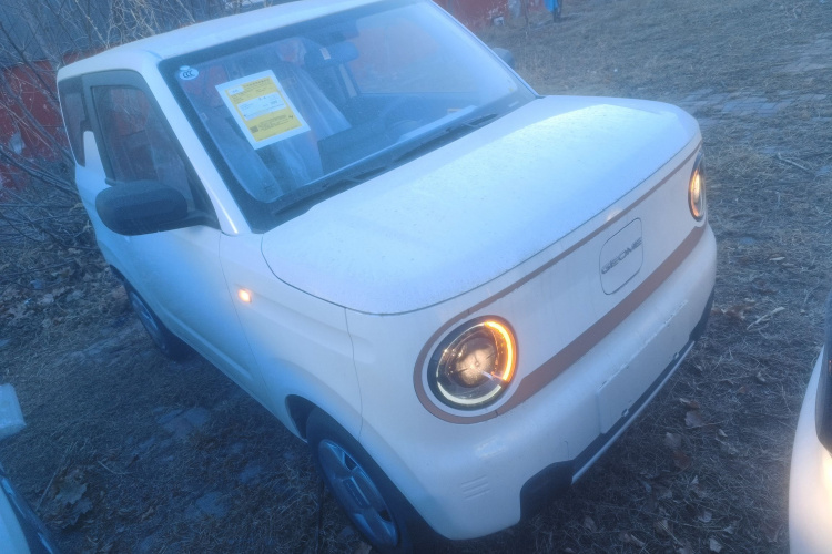 吉利银河 2024款 熊猫mini 200km 耐力熊车身外观3