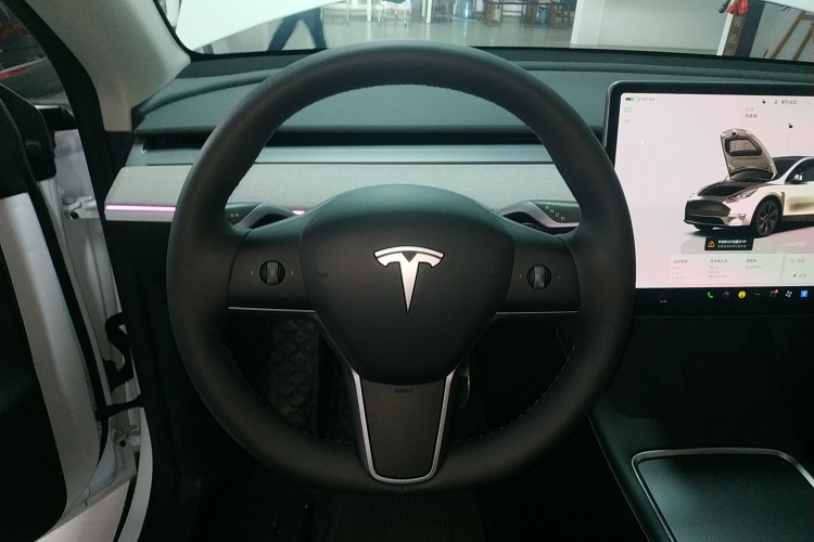 特斯拉 Model Y 2024款 长续航全轮驱动版局部细节13