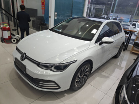 大众 高尔夫 2023款 改款 280TSI DSG Pro