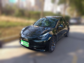 特斯拉 Model 3 2021款 标准续航后驱升级版