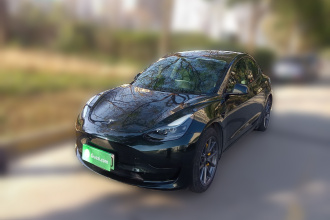 特斯拉 Model 3 2021款 标准续航后驱升级版