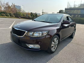 起亚 福瑞迪 2014款 1.6L AT Premium