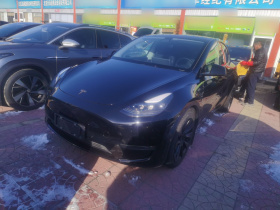 特斯拉 Model Y 2021款 标准续航后驱版