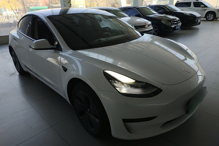 特斯拉 Model 3(进口) 2019款 标准续航后驱升级版(60度)车身外观6002