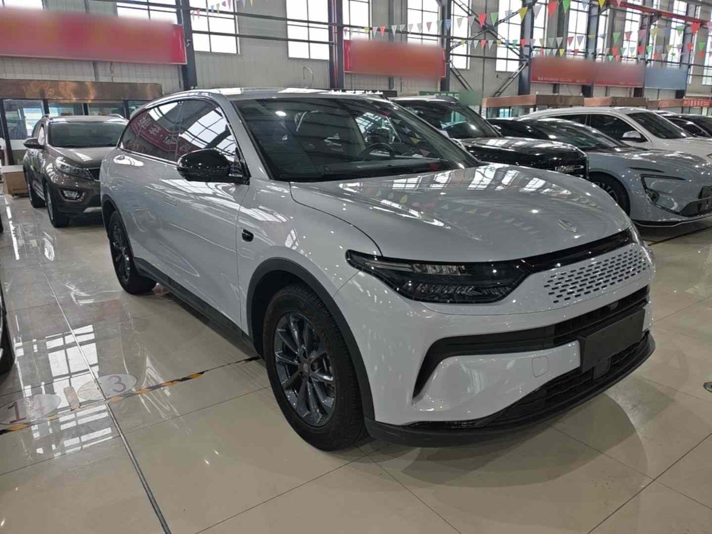 零跑汽车 零跑C11 2023款 增程 180舒享版(5)
