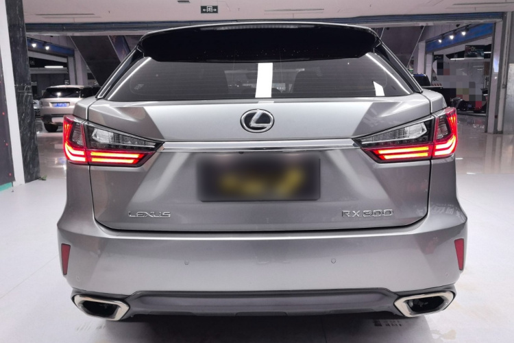 雷克萨斯RX 2016款 300 两驱舒适版 国V车身外观6