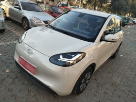 五菱汽车 五菱缤果 2023款 333km 悦享款