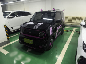 吉利银河 2025款 210km 熊猫卡丁