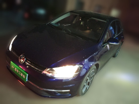 大众 高尔夫 2018款  230TSI 自动豪华型