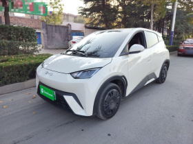 比亚迪 海鸥 2023款 活力版