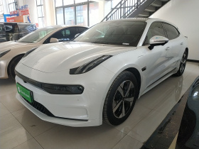 极氪001 2022款 超长续航单电机 WE版